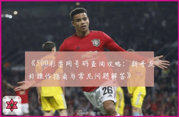 《500彩票网号码查询攻略：新手友好操作指南与常见问题解答》