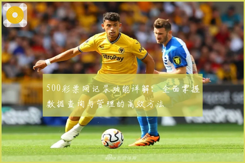 500彩票网记录功能详解：全面掌握数据查询与管理的高效方法