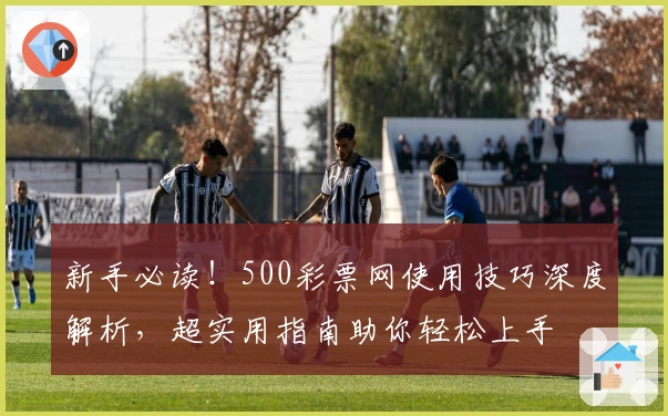 新手必读！500彩票网使用技巧深度解析，超实用指南助你轻松上手