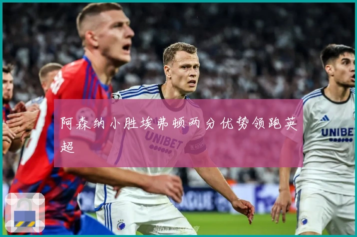 阿森纳小胜埃弗顿两分优势领跑英超