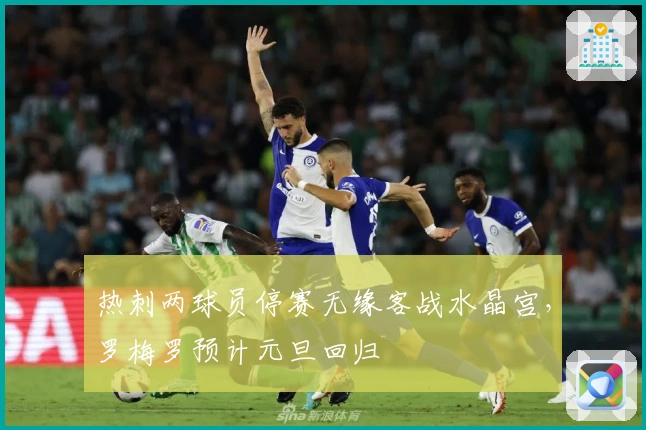 热刺两球员停赛无缘客战水晶宫,罗梅罗预计元旦回归