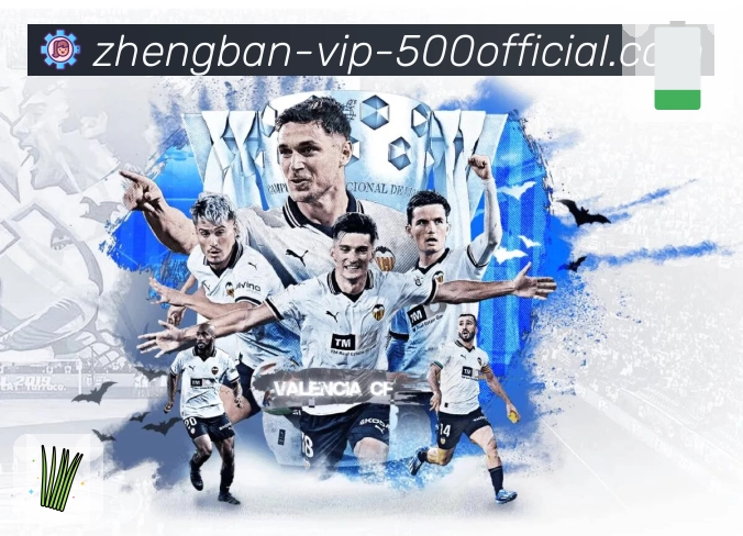 模块功能说明书